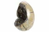 Septarian Dragon Egg Geode - Black Crystals #253750-2
